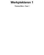 Samenvatting Werkplekleren 1 - Thomas more