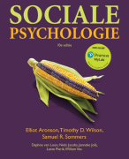 Samenvatting Sociale Psychologie (leerjaar 1, periode 2)- Fontys Social Work 2025