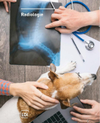 Samenvatting Radiologie LOI 2025