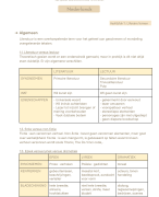 Examencommissie Nederlands schriftelijk (derde graad ASO - humane wetenschappen)