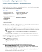 Samenvatting colleges systemisch werken jaar 2