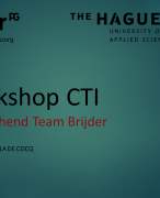 Beroepsproduct workshop methodiek CTI Social Work