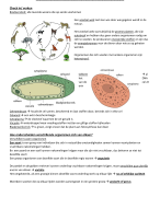 Biologie - verscheidenheid aan leven en biodiversiteit 