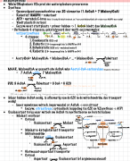 Samenvatting Biochemie II
