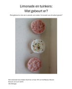Limonade en tuinkers: Wat gebeurt er?
