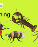 Biologie Thema 4 Ordening