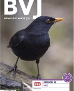Biologie Voor Jou (7e editie): samenvatting 5VWO - Thema 9: Stofwisseling in de cel