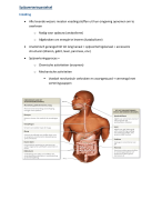 Spijsvertering stelsel - anatomie en fysiologie