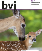 Biologie voor jou vwo 2 samenvatting thema 4 basistof 1 t/m 4