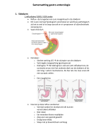 samenvatting gastro-enterologie 