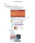 samenvatting oncologie 