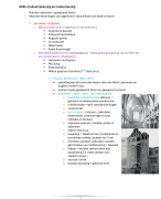 architectuur geschiedenis ( semester 3 )