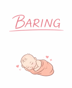 Samenvatting Baring  (2025-2026)