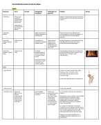Uitwerking en samenvatting module Been in vivo Anatomie VU