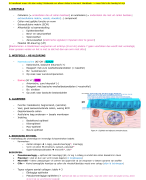 Weefsels hoofdstuk 2 Epitheelweefsel + practicum notities  bedekkend epitheel