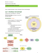 Samenvatting Fysiologie Geneeskunde UA BA1SEM1 2025-2026