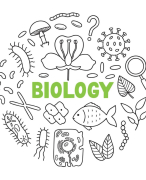 Natuurwetenschappen deeltje Biologie 3de graad DO 