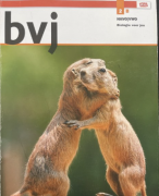 Samenvatting Bvj  Hoofdstuk 6 vwo 2