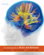 Summary of chapters 9 until 12 of An Introduction to Brain and Behavior 