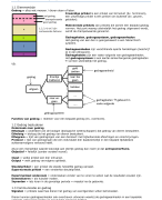 Biologie VWO 4 hoofdstuk 1 t/m 4 