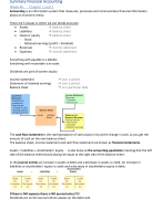 summary financial accounting for E&BE and for IB
