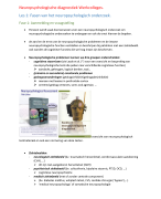 Samenvatting klinische neuropsychologie en diagnostiek werkcollege's