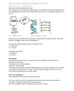DNA en Evolutie samenvatting 