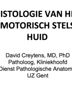 Histologie LOCO samenvatting prof. Creytens