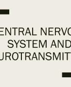 CNS and Neurotransmitters (PSychology)