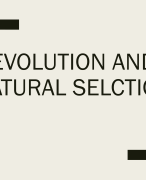 Evolution and Natural Selection for Psychology (A Level, IB and GCSE)