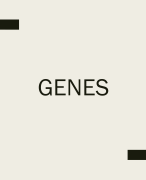 Gene topic in Biological psychology (A Level, IB and GCSE)