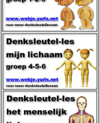 Denksleutellessen Het menselijk lichaam -  groep 1-8