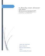 Paper procesrecht 2016-2017