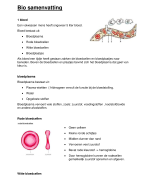 Bloedsomloop ( Thema 3 ) Biologie voor jou 2 Havo/vwo