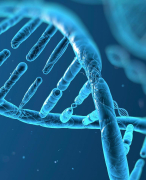 Summary Medical biotechnology towards clinical practice 