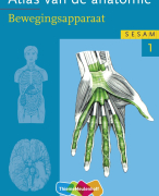 Anatomie A: De onderste extremiteiten