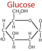 Samenvatting biochemie 1 