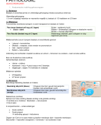 Samenvatting Pathologie van spraak-, stem- en gehoororganen 