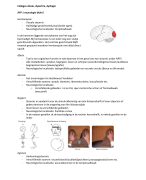 Afasie, dysfagie & dysartrie samenvatting
