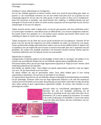 Hoorcollege 2: Pathologie
