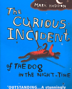 the curious incident of the dog in the night-time Book report