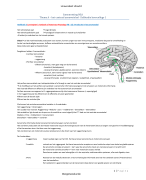 Hoorcolleges + zelfstudies Neurologie, Anesthesiologie en Zintuigen (NZA) - Samenvattingen Diergeneeskunde