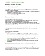 Samenvatting Blok 1.5 Ontwikkelingspsychologie
