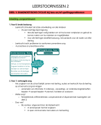 Samenvatting leerstoornissen 2
