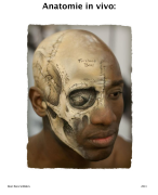 Samenvatting Anatomie in Vivo (AIV)