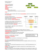 Nectar Biologie VWO H11 'Voeding en Vertering' samenvatting