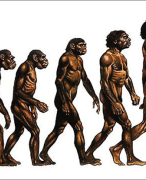 Biologie VWO 4 Thema 5: Evolutie (Biologie voor jou)