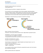 Microbiologie hoorcollege 3 - Infectie en Ontstekingen 