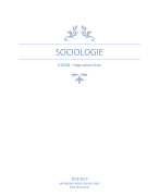 Samenvatting vak sociologie