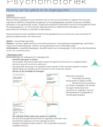 samenvatting boek psychomotoriek